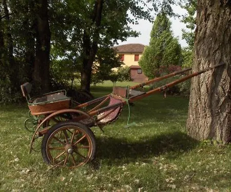 Fondo Catena Ferrara