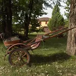 Fondo Catena Ferrara